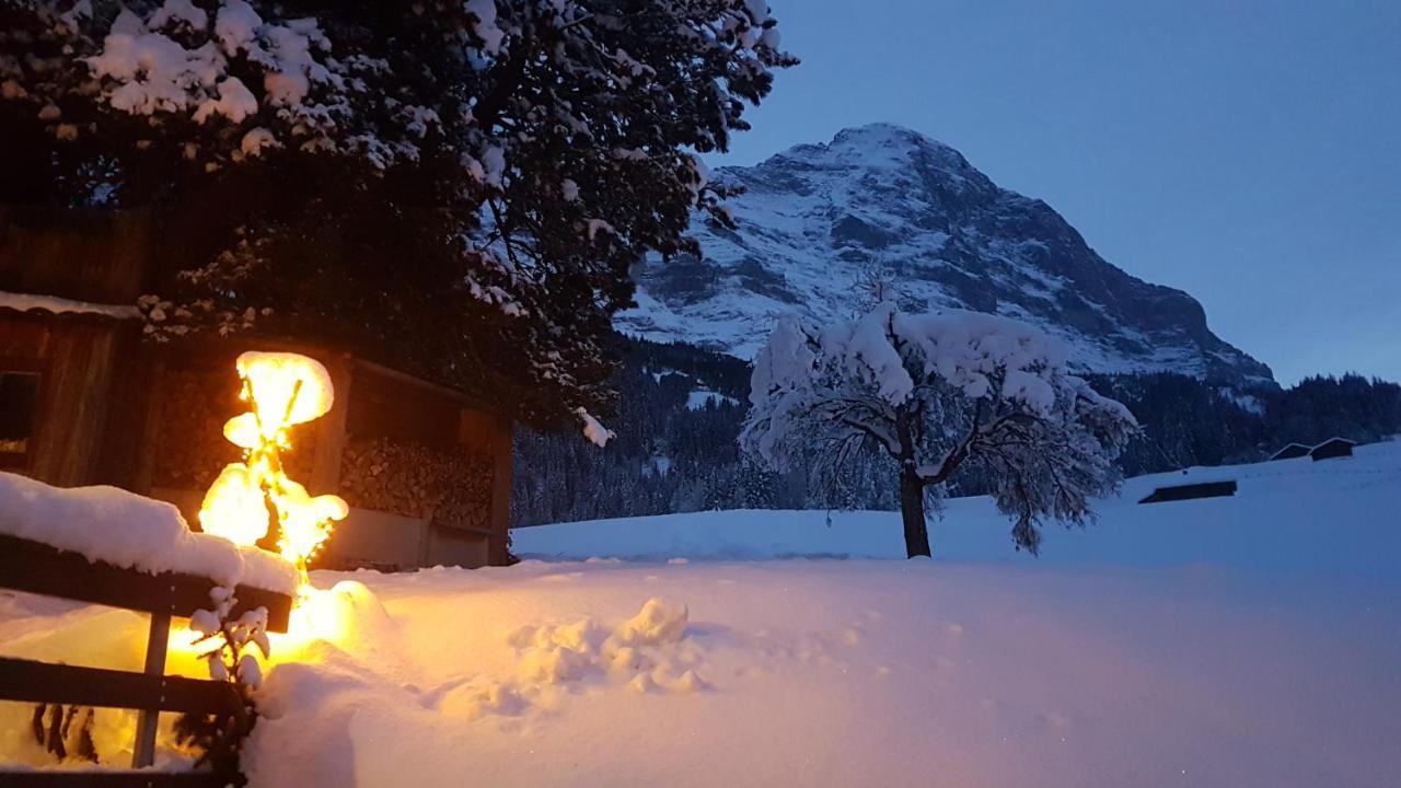 Chalet Bei Der Arve 그린델발트 외부 사진